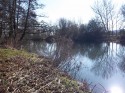 from the river bank, with brown skeletons of summer weeds, looking across the placid river to trees already stripped of autumn colour.