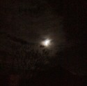 clouds partially obscuring a warm-honey-colour moon in a black sky, vague skeletons of trees in the left foreground.